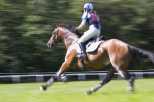 Reiter mit Pferd